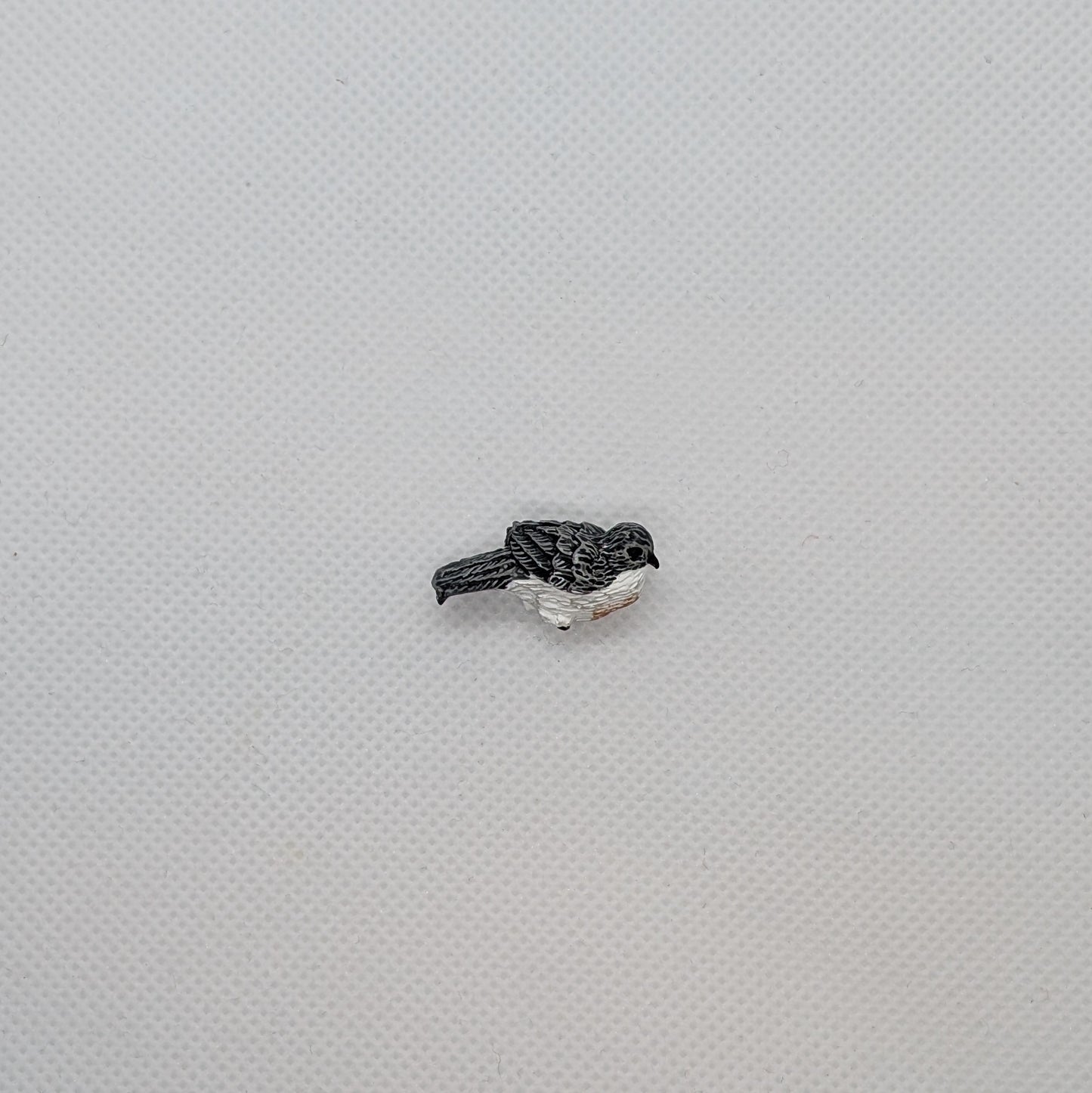 Gray Bird