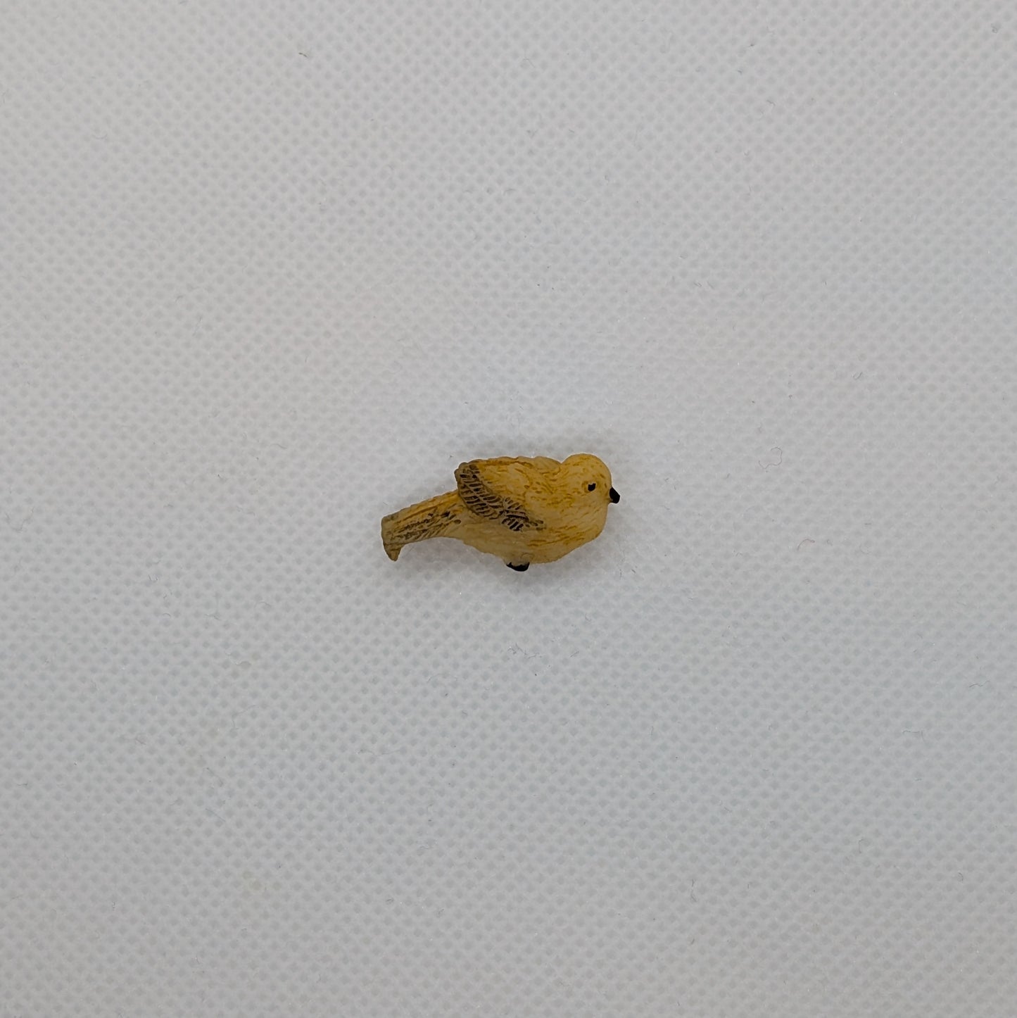 Yellow Bird