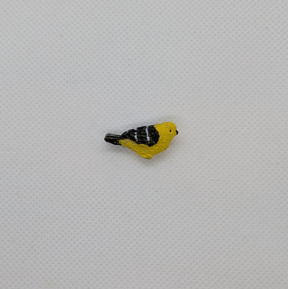 Yellow and Black Bird
