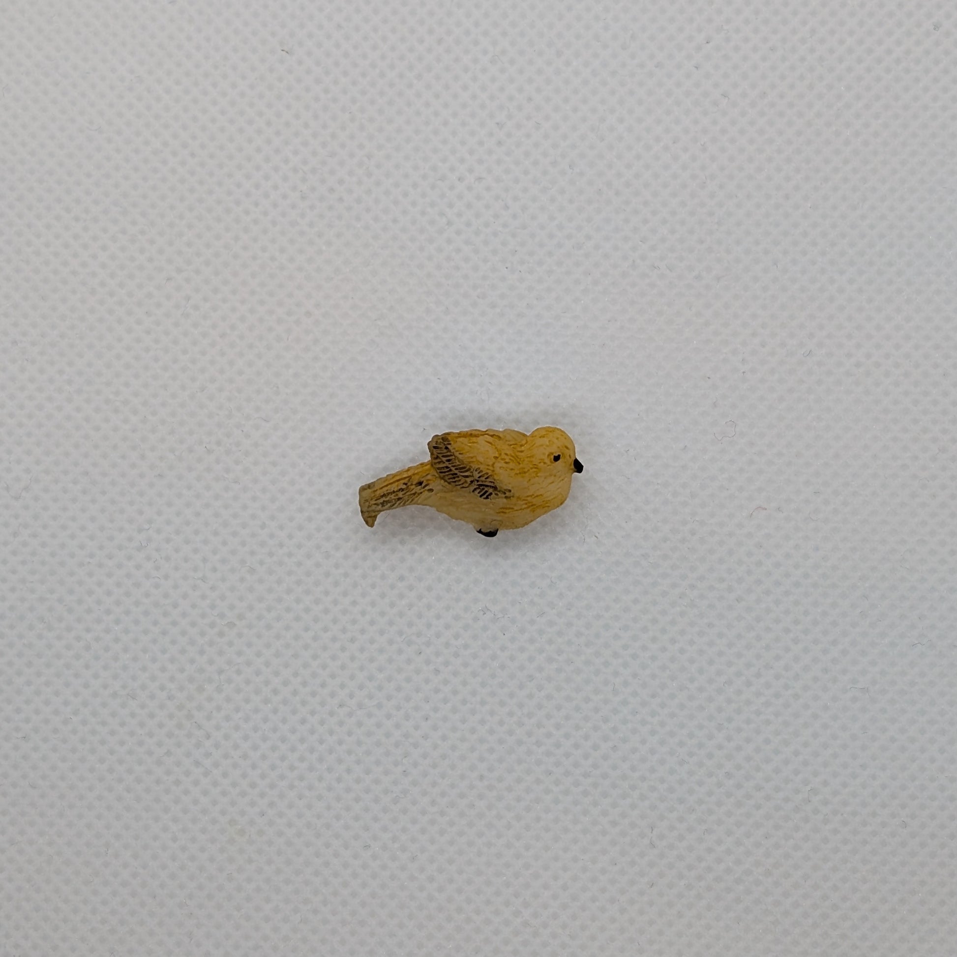 Yellow Bird