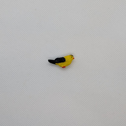 Yellow and Black Bird