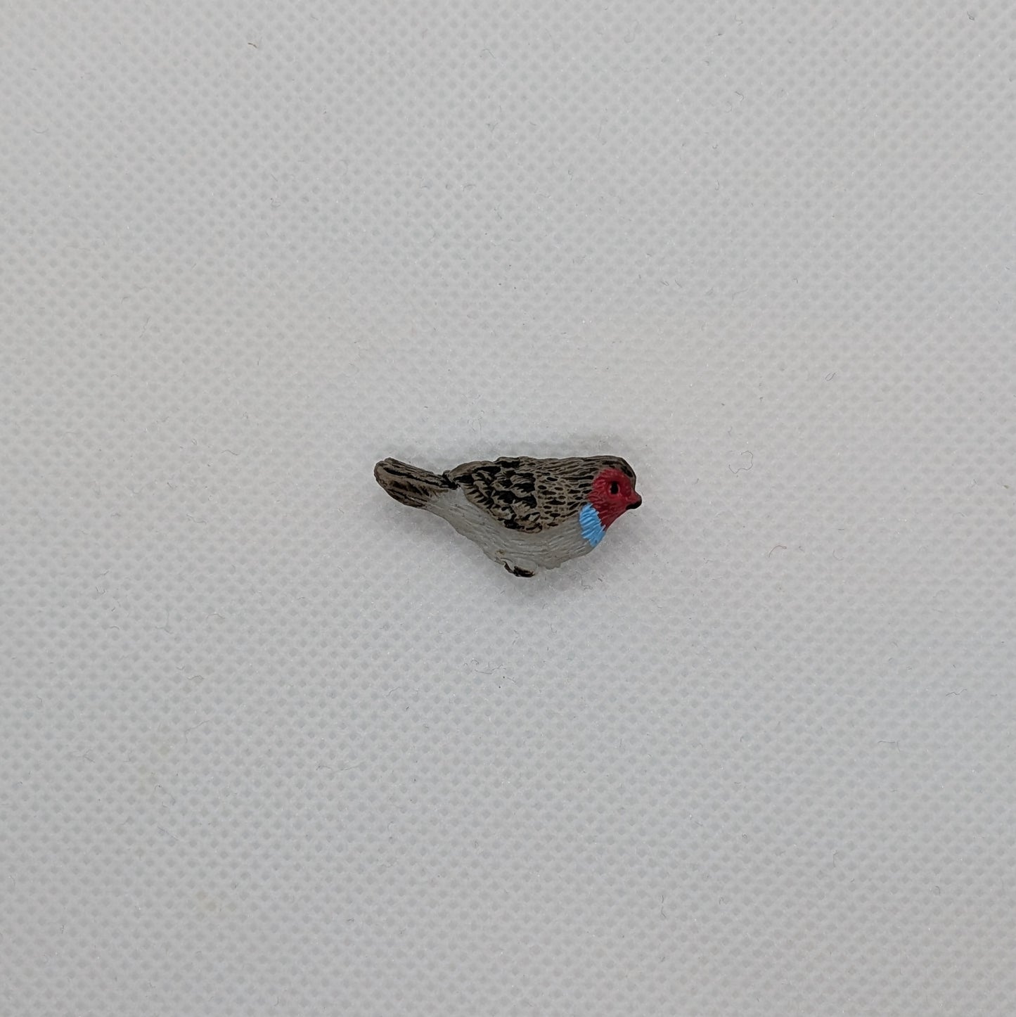 Gray Bird with Red Face and Blue Neck
