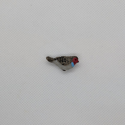 Gray Bird with Red Face and Blue Neck